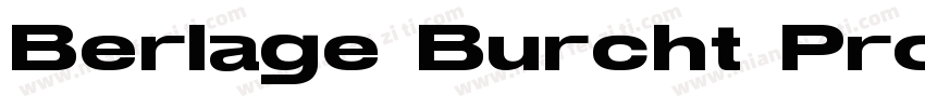 Berlage Burcht Pro Regular字体转换